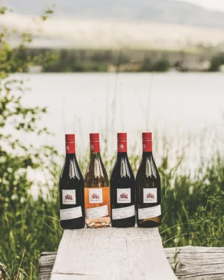 2021 Select Harvest Seventy-Four K | Road 13 Vineyards